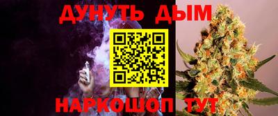 сатива Анапа