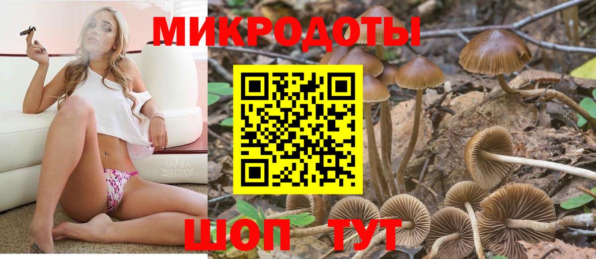 Волоколамск  Псилоцибиновые грибы мухоморы  Вход с VPN 